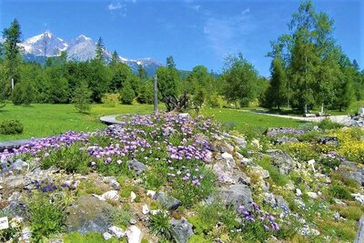 Expozícia tatranskej prírody, Múzeum TANAPu - Vysoké Tatry a severný Spiš - Autobusový poznávací zájazd - Zdroj: Štátne lesy TANAPu 