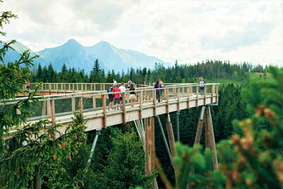 CK Turancar, Autobusový poznávací zájazd, Vysoké Tatry a severný Spiš, Bachledova dolina, chodník korunami stromov