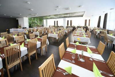 Hotel Hviezda - reštaurácia - individuálny zájazd CK Turancar - reštaurácia -  Slovensko, Dudince