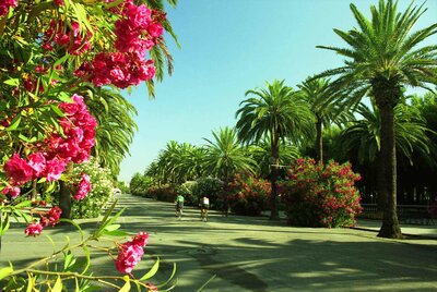 Palazzina Cala Luna- cyklistucký chodník - CK Turancar (San Benedetto del Tronto - Palmová riviéra)