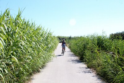 Palazzina Cala Luna- cyklistický chodník - zájazd vlastnou dopravou CK Turancar - Taliansko - San Benedetto del Tronto - Palmová riviéra