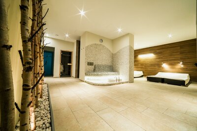 Panorama - wellness -  individuálny zájazd CK Turancar - Slovensko, Trenčianske Teplice