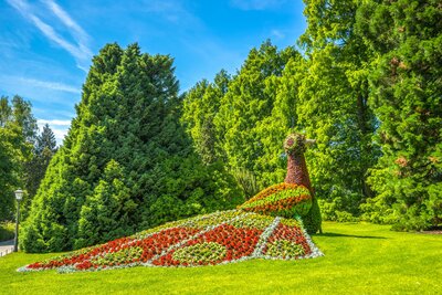 CK Turancar, autobusový poznávací zájazd, Alpský okruh a Bodamské jazero, Mainau