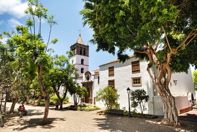 CK Turancar, Letecký poznávací zájazd, Španielsko, Tenerife, Icod de los vinos