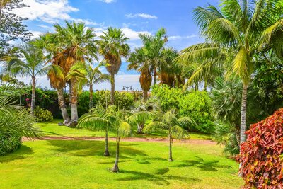 CK Turancar, Letecký poznávací zájazd, Španielsko, Tenerife, Puerto de la Cruz