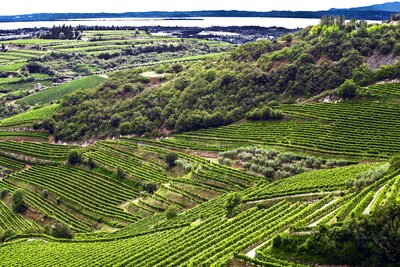 CK Turancar, autobusový poznávací zájazd, Talianske alpské jazerá, Valpolicella vinice