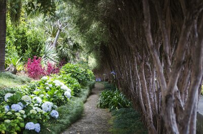 CK Turancar, Letecký poznávací zájazd, Portugalsko, Madeira