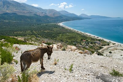 Poznávacie zájazdy CK Turancar, Veľký okruh Balkánom s Dubrovníkom, Albánsko