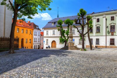 Poznávacie zájazdy CK Turancar, Česká Republika, Flora Olomouc a Kroměříž, Olomouc