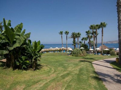Cynthiana Beach Hotel - záhrada - letecký zájazd CK Turancar - Cyprus, Paphos