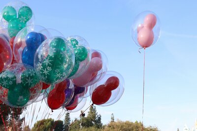 CK Turancar, Letecký poznávací zájazd, Francúzsko, Paríž pre deti - Disneyland