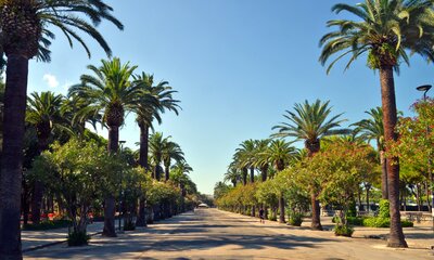 Rezidencia Mediterraneo due - cyklistický chodník - CK Turancar (San Benedetto del Tronto - Palmová riviéra)