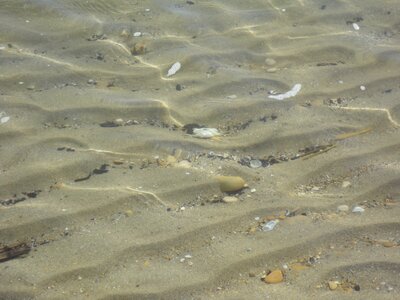 Rezidencia Mediterraneo - pláž - CK Turancar (San Benedetto del Tronto - Palmová riviéra)