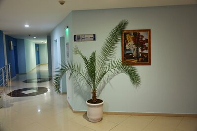 Hotel Queen Nelly - letecký a autobusový zájazd CK Turancar - Bulharsko , Primorsko