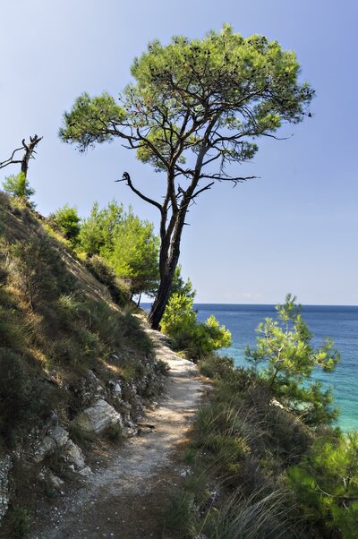 Hotel Asterias -pláž Aliki Thasos  -výhľad - letecký zájazd CK Turancar (Thasos Limenria)