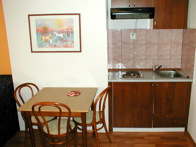 Vila Dalmacija - kuchynka apartmán 2+2 - autobusový zájazd CK Turancar - Chorvátsko - Makarska