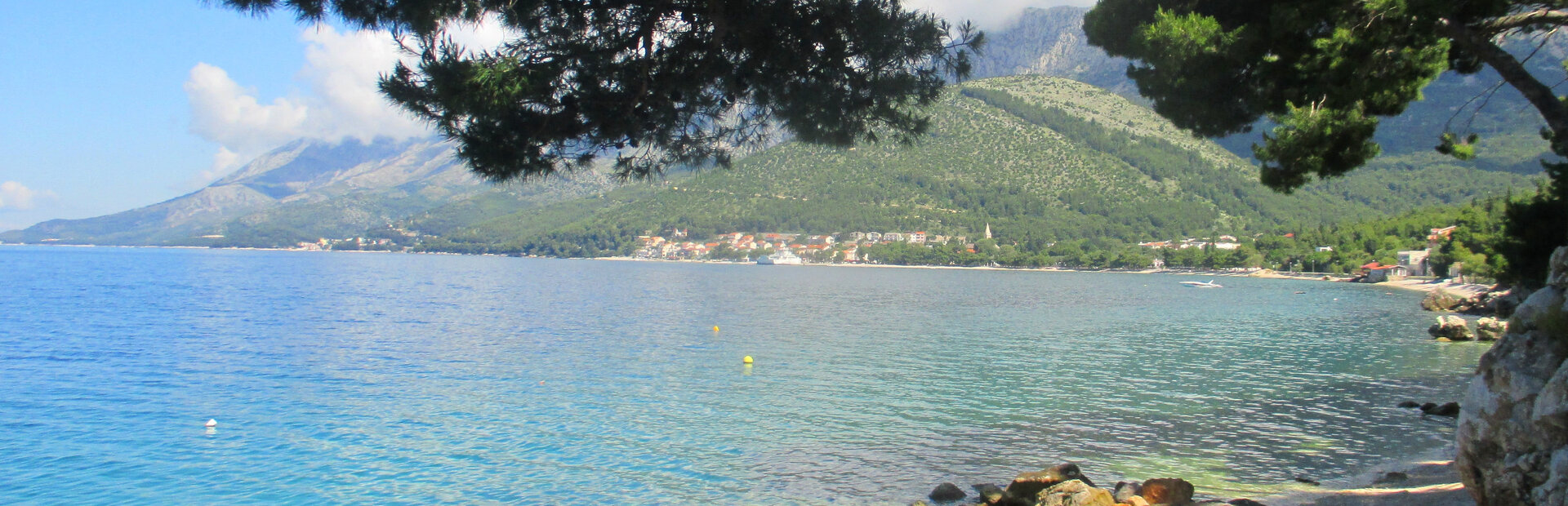 Podaca