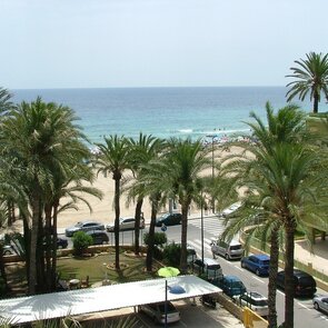 El Palmeral