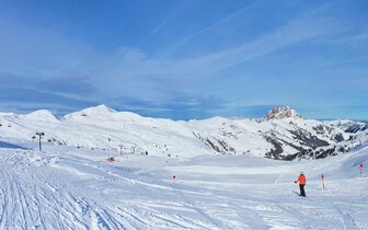 Wildkogel