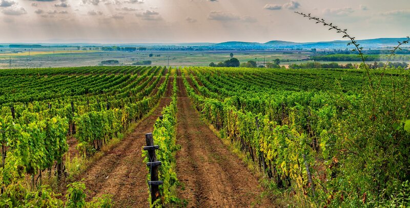 Maďarsko - pôvaby krajiny a Tokaj Maďarsko - pôvaby krajiny a Tokaj