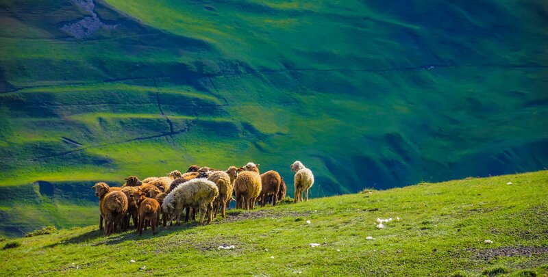 Azerbajdžan letecky