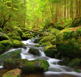 Šumava a Bavorský les