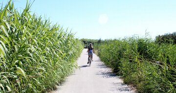 Rezidencia Oltremare - cyklistický chodník - zájazd vlastnou dopravou CK Turancar - Taliansko - San Benedetto del Tronto - Palmová riviéra