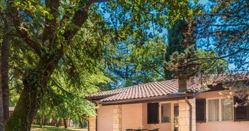 Apartmány Polynesia - ubytovanie - autobusový zájazd CK Turancar - Chorvátsko, Istria, Umag, Katoro