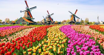 CK Turancar, autobusový poznávací zájazd, Kvetinové Holandsko a Belgicko, Keukenhof, tulipánové polia a veterné mlyny