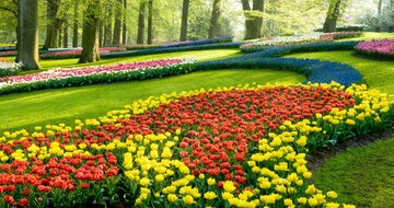 Autobusový poznávací zájazd Kvetinové Holandsko a Belgicko Keukenhof