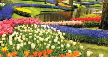 Autobusový poznávací zájazd Kvetinové Holandsko a Belgicko Keukenhof