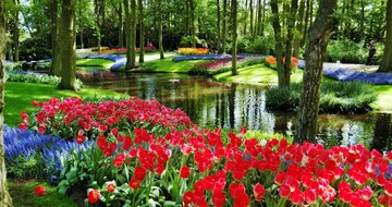 Autobusový poznávací zájazd Kvetinové Holandsko a Belgicko Keukenhof