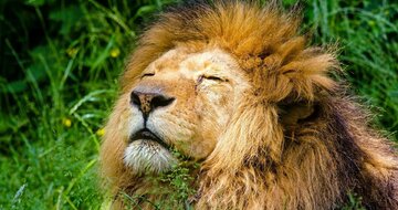 Autobusové poznávacie zájazdy CK Turancar, Česká republika, ZOO Zlín a zámok Lešná