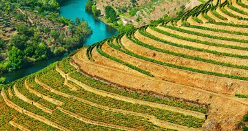 CK Turancar, Letecký poznávací zájazd, Cesta za krásami Portugalska, Douro