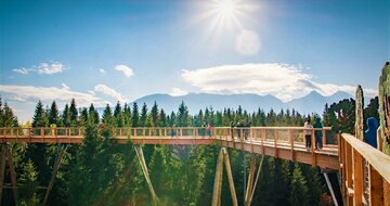 CK Turancar, Autobusový poznávací zájazd, Vysoké Tatry a severný Spiš, Bachledova dolina, chodník korunami stromov