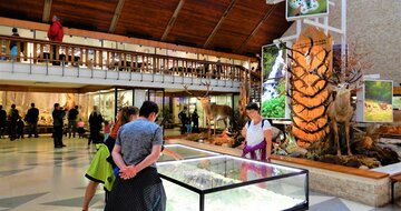 Expozícia tatranskej prírody, Múzeum TANAPu - Vysoké Tatry a severný Spiš - Autobusový poznávací zájazd - Zdroj: Štátne lesy TANAPu