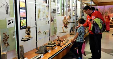 Expozícia tatranskej prírody, Múzeum TANAPu - Vysoké Tatry a severný Spiš - Autobusový poznávací zájazd - Zdroj: Štátne lesy TANAPu 