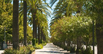 Palazzina Cala Luna- promenáda - zájazd vlastnou dopravou CK Turancar - Taliansko - San Benedetto del Tronto - Palmová riviéra