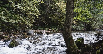 Liptovský dvor -  individuálny zájazd CK Turancar - Slovensko, Liptovský Ján
