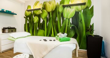 Panorama - wellness - individuálny zájazd CK Turancar - Slovensko, Trenčianske Teplice