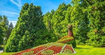 Autobusový poznávací zájazd Alpský okruh Mainau