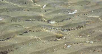 Rezidencia Seaside - pláž - zájazd vlastnou dopravou CK Turancar - Taliansko - San Benedetto del Tronto - Palmová riviéra