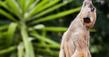 CK Turancar, autobusový poznávací zájazd, Safari park Dvor Králové a pravé české peklo, Safari park