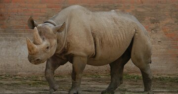 CK Turancar, autobusový poznávací zájazd, Safari park Dvor Králové a pravé české peklo