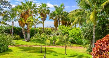 CK Turancar, Letecký poznávací zájazd, Španielsko, Tenerife - sopečný skvost Atlantiku, Puerto de la Cruz
