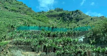 CK Turancar, Letecký poznávací zájazd, Portugalsko, Madeira, banánové plantáže