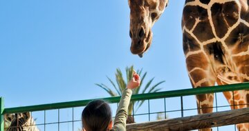 CK Turancar, autobusový poznávací zájazd, Legoland a ZOO Hellabrunn, zoologická záhrada