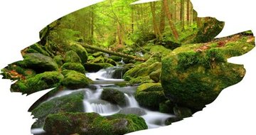 Autobusové poznávacie zájazdy CK Turancar, Česká Republika, Šumava a Bavorský les, Šumava