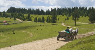 CK Turancar, autobusový poznávací zájazd, Rumunsko - Sedmohradsko a Transylvánia, rumunská krajina