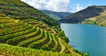 CK Turancar, Letecký poznávací zájazd,Porto plnými dúškami, vinice v údolí rieky Douro